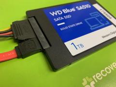 Come recuperare i dati da SSD WD Blue SA510 the BLUE BUG