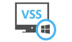Recuperare dati Cancellati o Corrotti da un attacco Ransomware utilizzando le VSS - Shadow Copies 