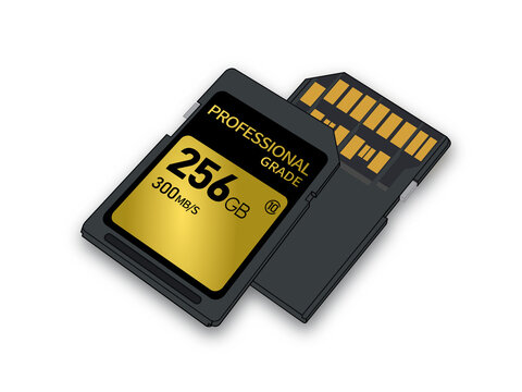 SD Card