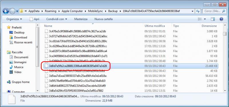 inserimento backup iPhone